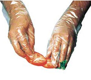 IBS Poly Foodservice Glove Large *SOLD BY INNER BOX ONLY* 1 box 10/100